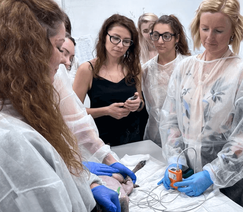 врачи vetcity clinic