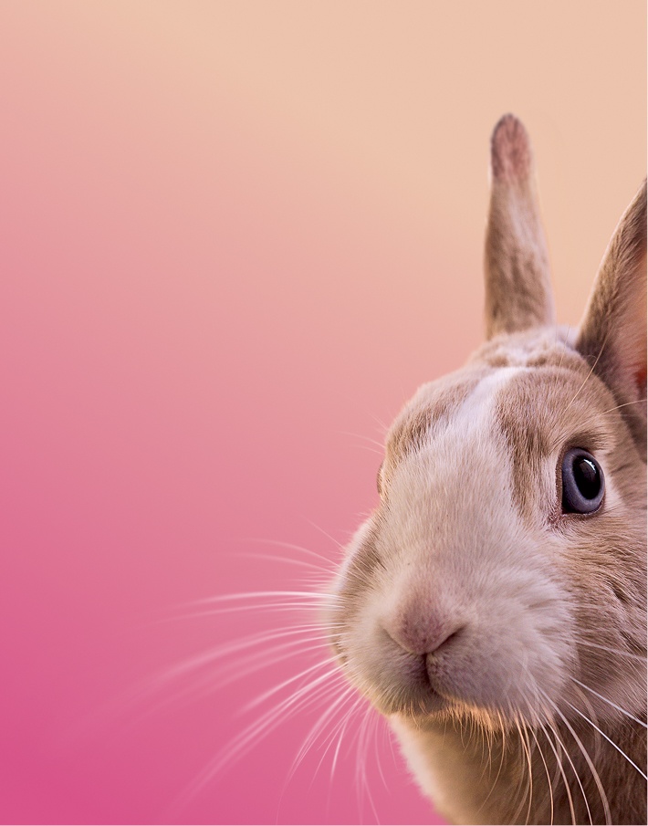 Предложение-1. Мобильная версия