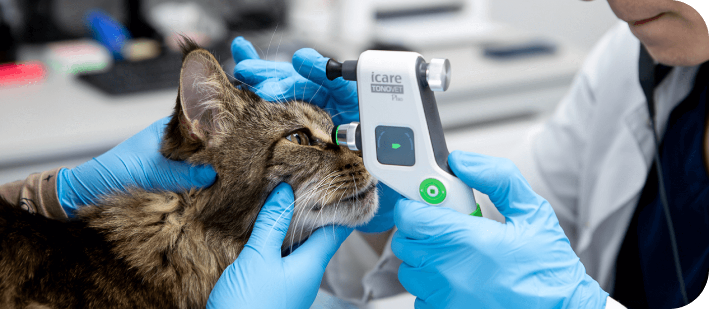 Изображения блока-0