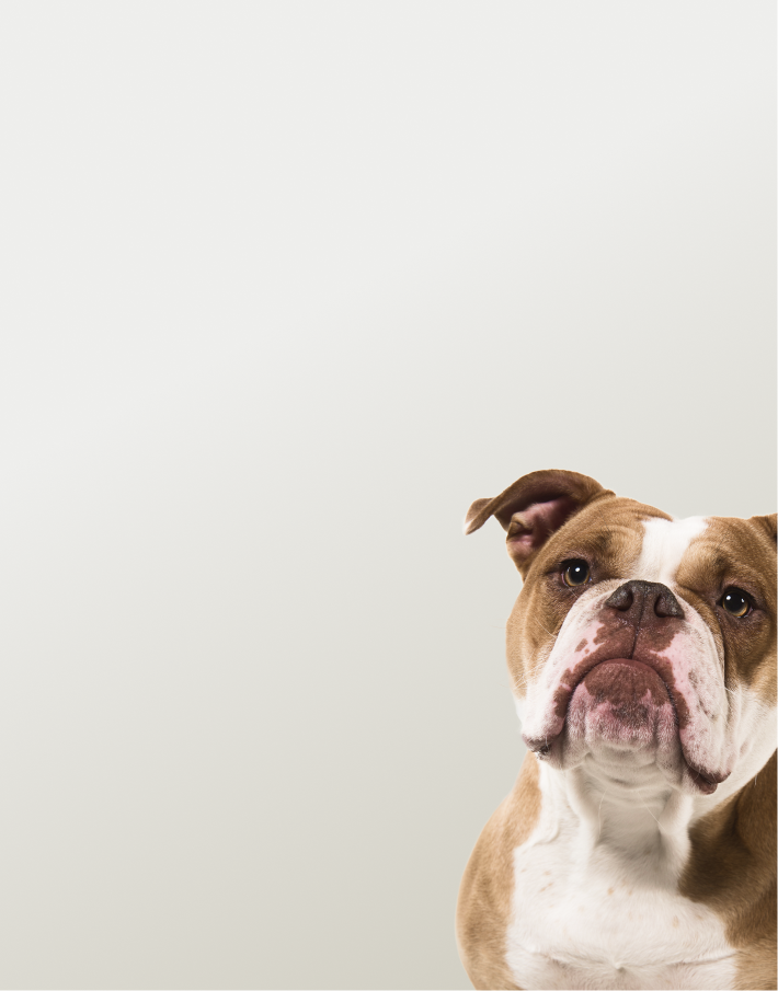 Предложение-4. Мобильная версия