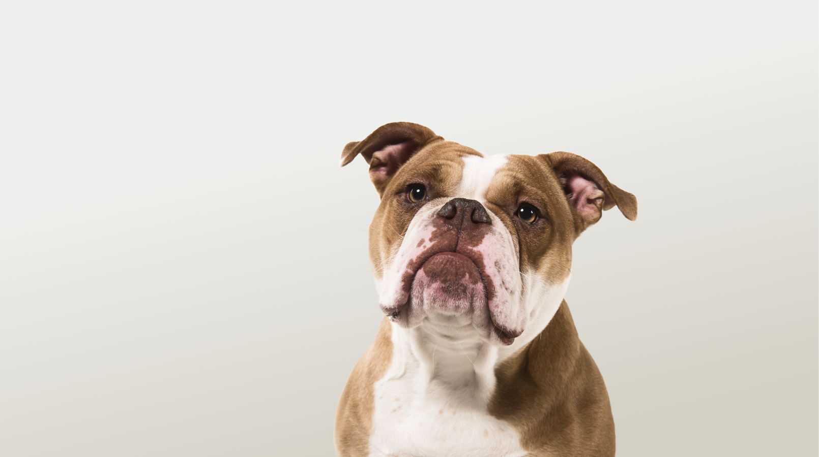 Предложение-4