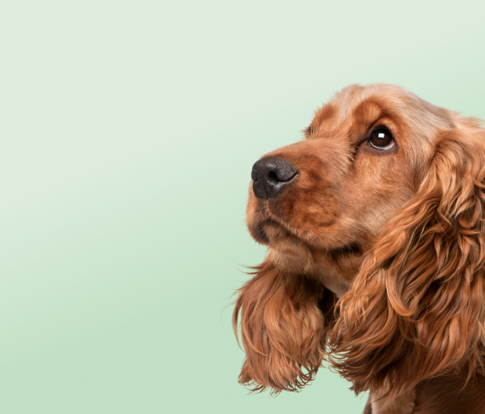 Предложение-9