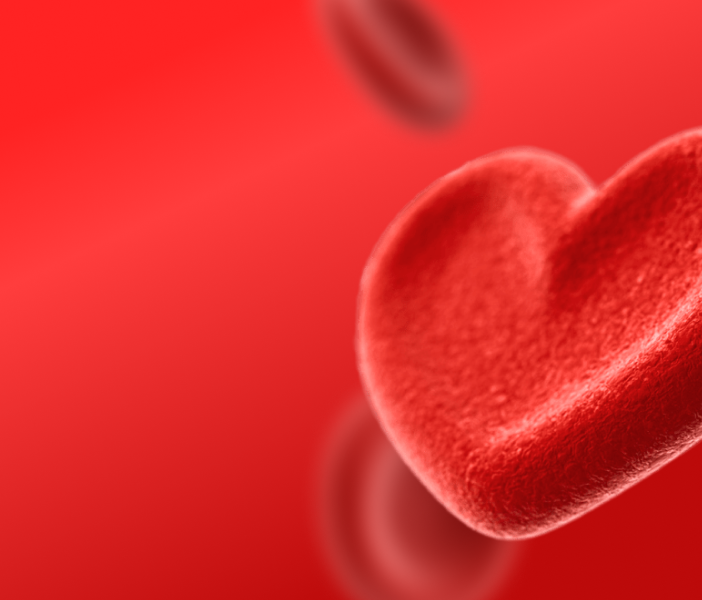 Предложение-11