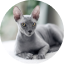 Игнатий