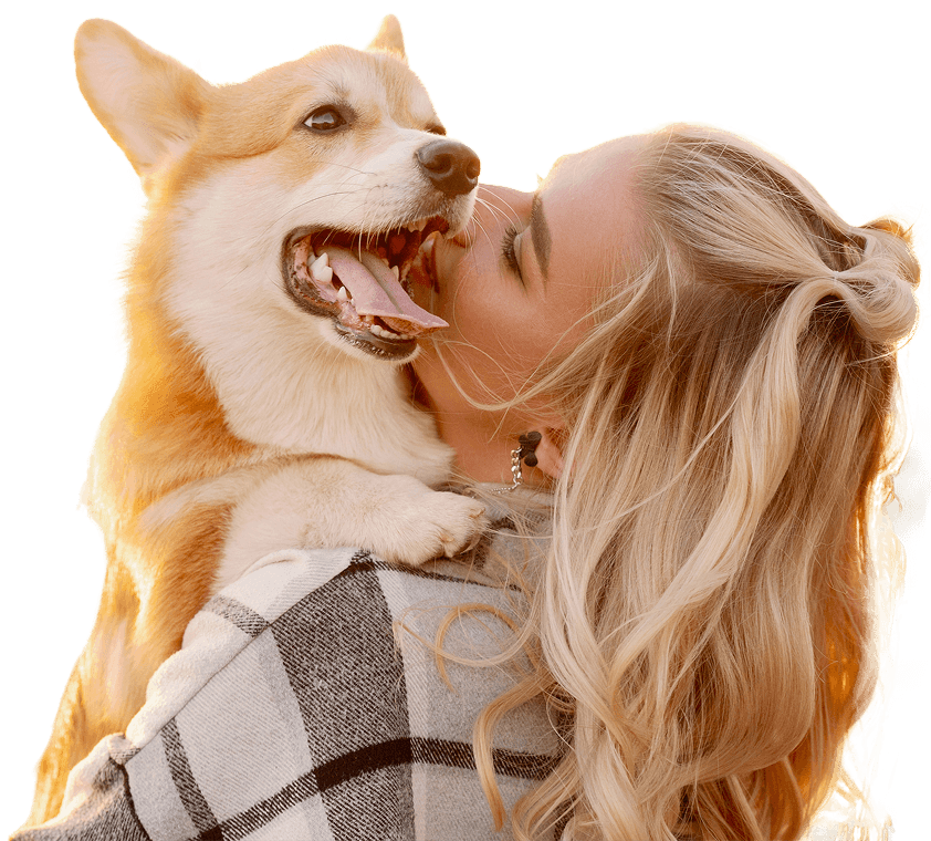 Баннер акции