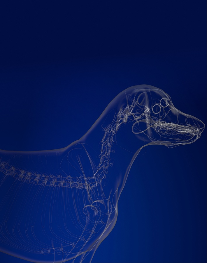 Предложение-3. Мобильная версия