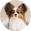 Элли 