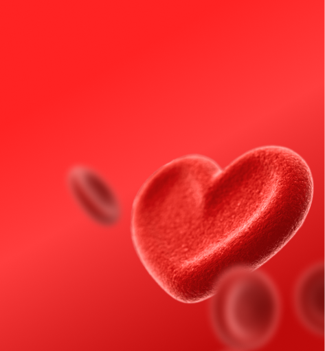 Предложение-11. Мобильная версия