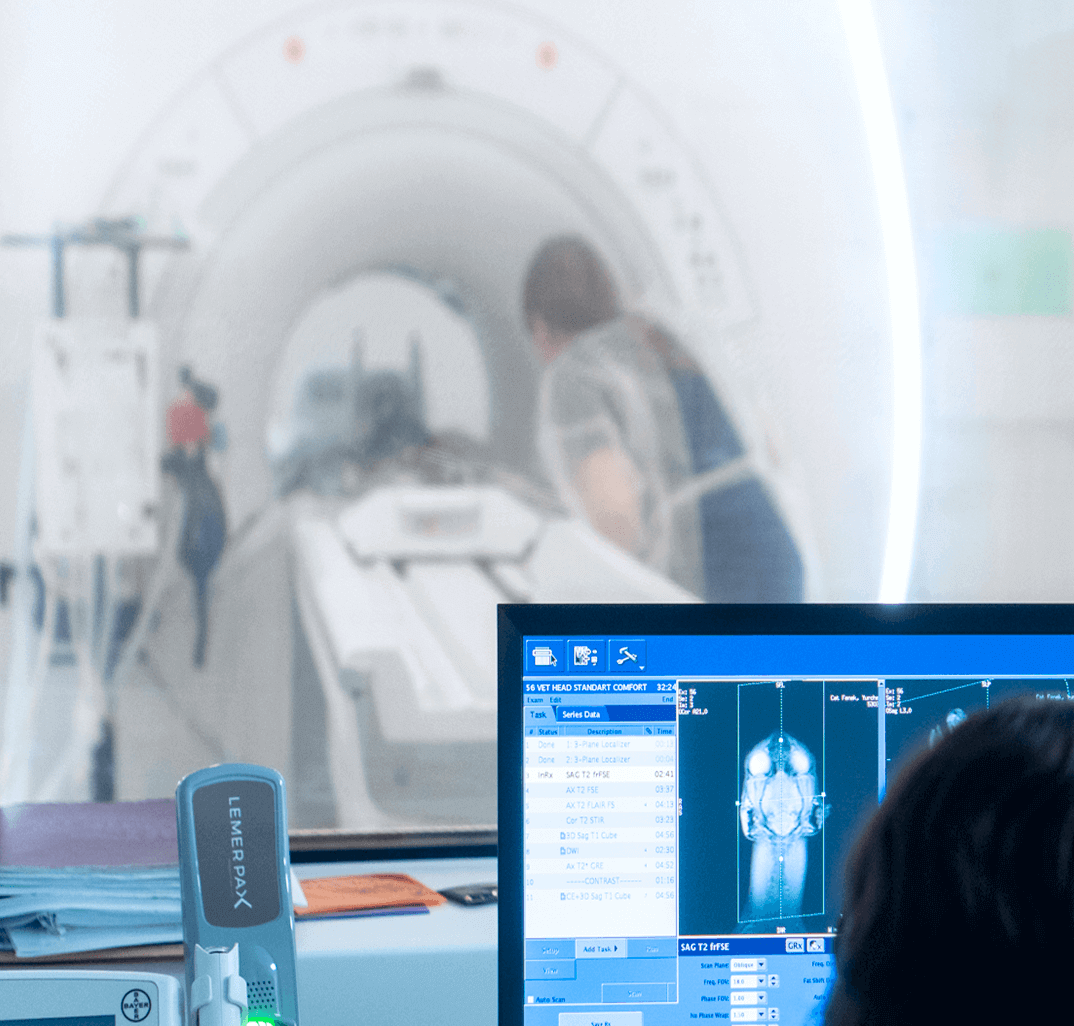 Как пройти МРТ в Vetcity (МРТ)