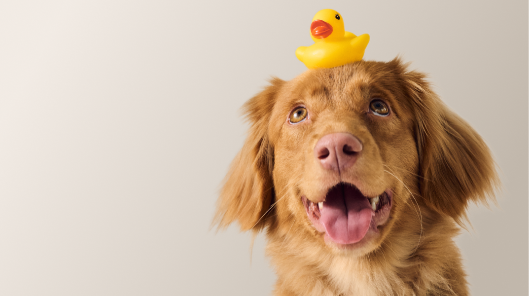 Предложение-12