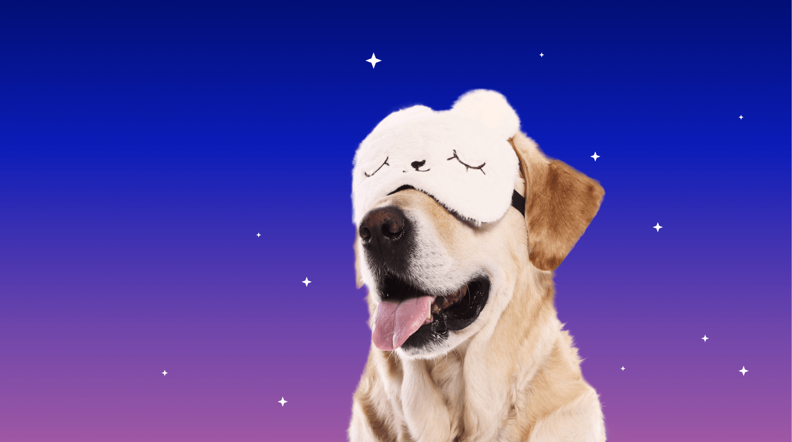 Предложение-2