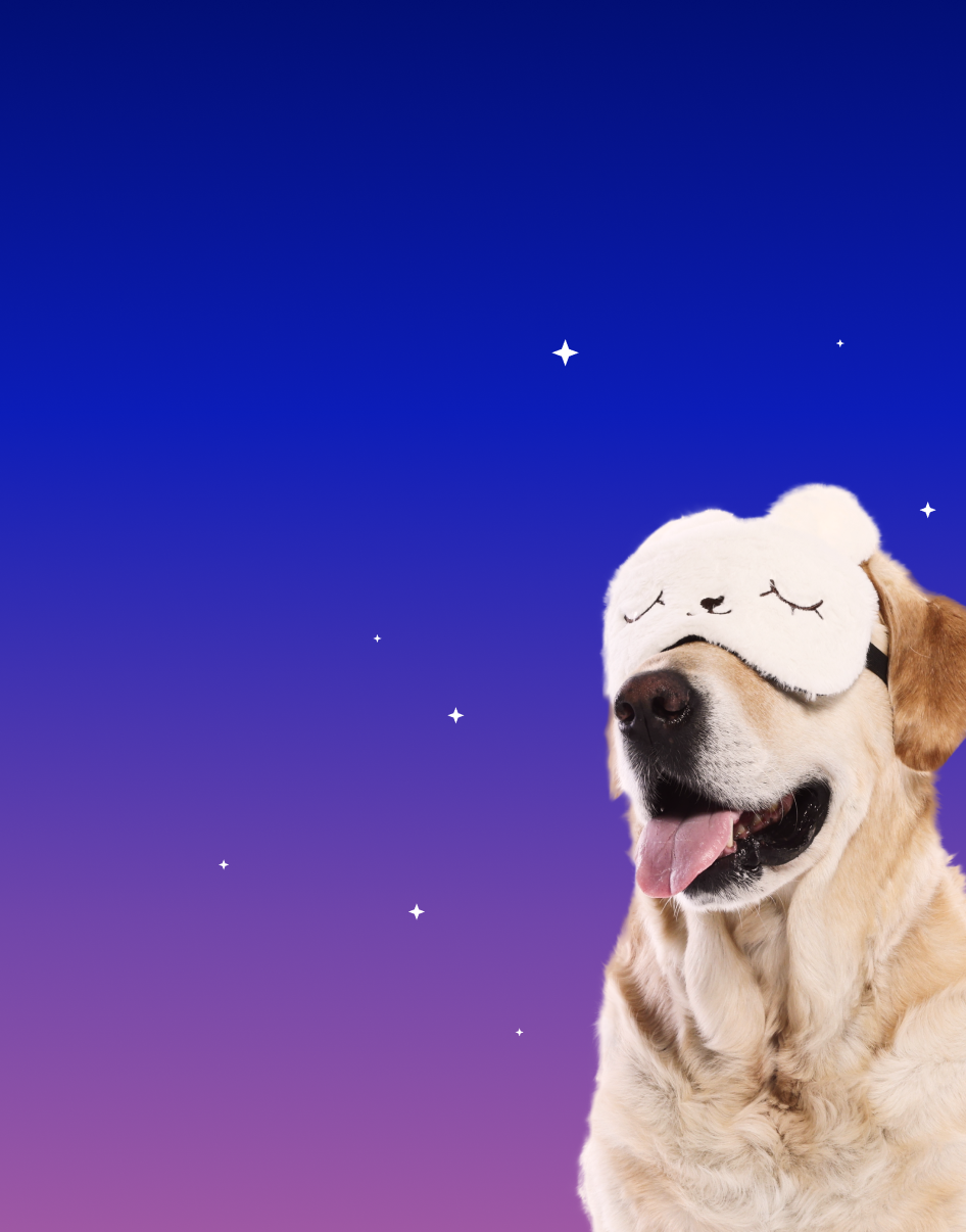 Предложение-2. Мобильная версия