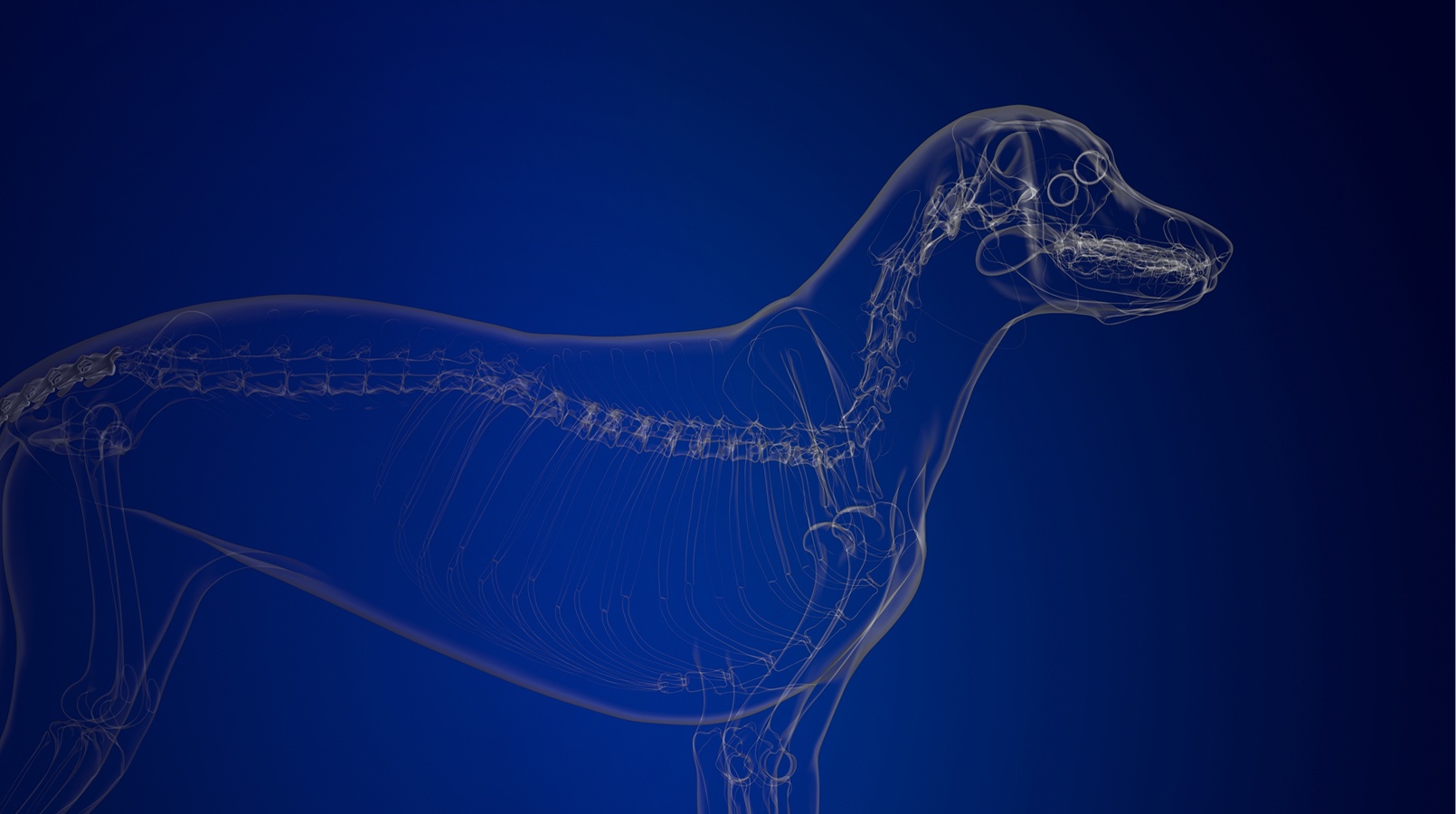 Предложение-3