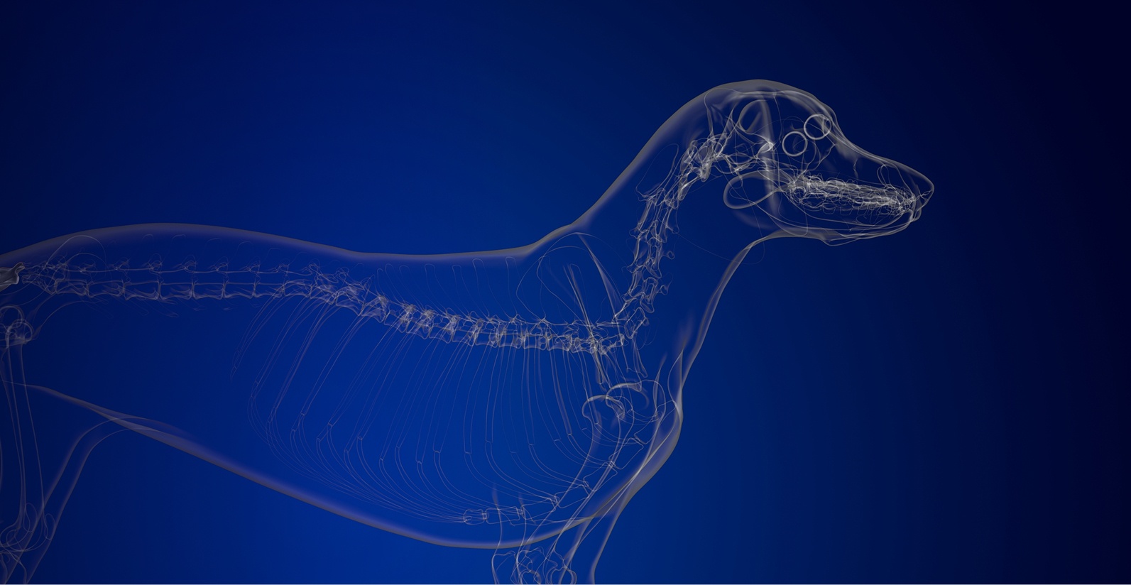 Предложение-3. Версия планшета