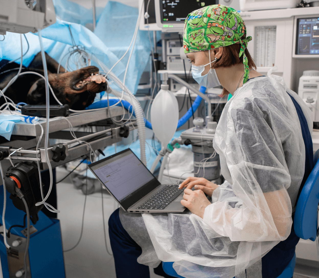 Как проходят операции в&nbsp;Vetcity Clinic