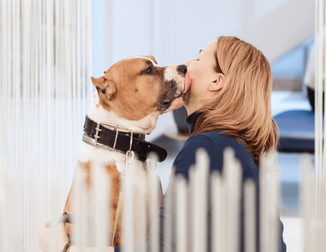 Путь пациента от госпитализации к выписке (Инфекционное отделение)