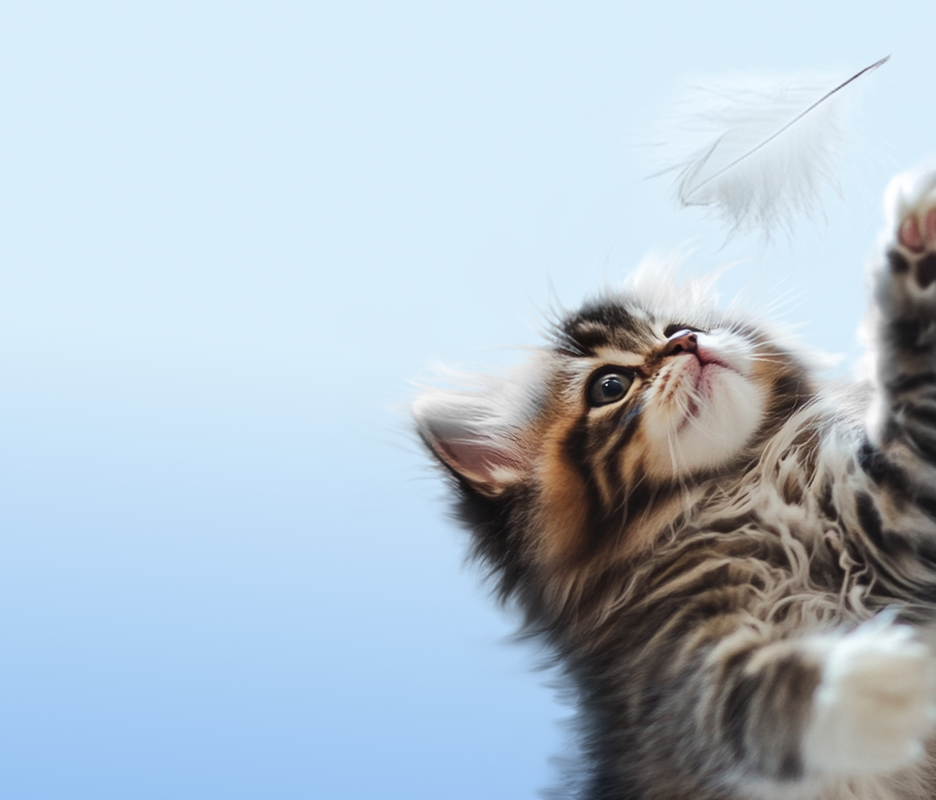 Предложение-10