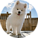 Кася