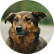 Уна