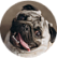 Бени