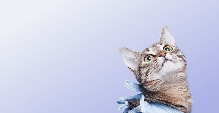 Предложение5. Версия планшета