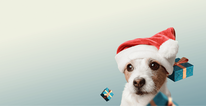 Предложение0. Версия планшета