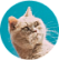 Мята