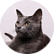 Вася
