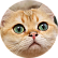 Честер