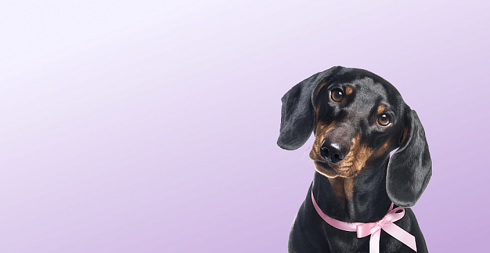 Предложение3. Версия планшета