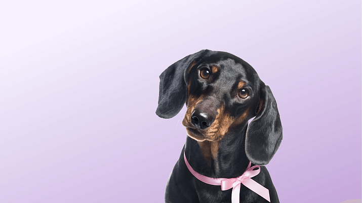 Предложение-3