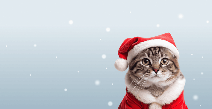 Предложение3. Версия планшета