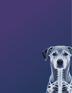 Предложение4. Мобильная версия