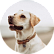 Рик