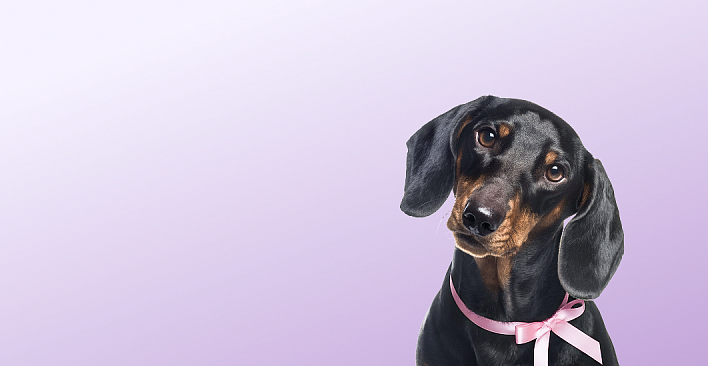 Предложение1. Версия планшета