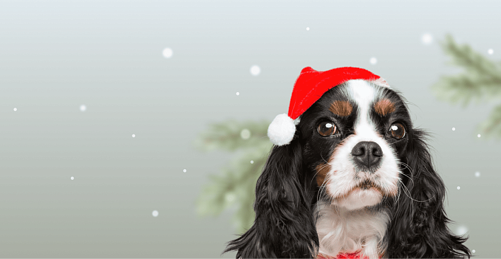 Предложение2. Версия планшета