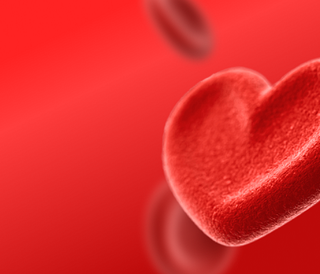 Предложение-11