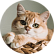 Нола