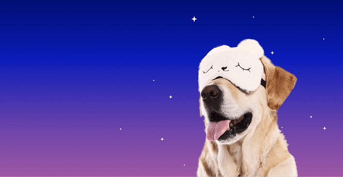 Предложение0. Версия планшета