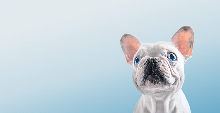 Предложение2. Версия планшета