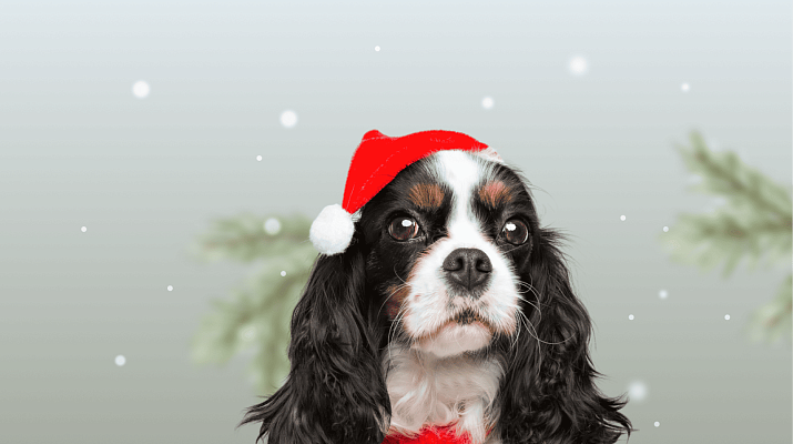 Предложение-2