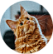 Бонифаций