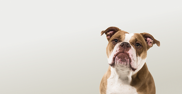 Предложение3. Версия планшета