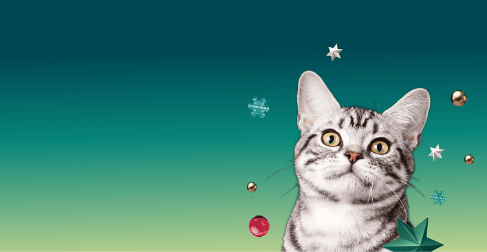 Предложение1. Версия планшета