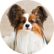Элли 