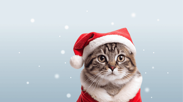 Предложение-3