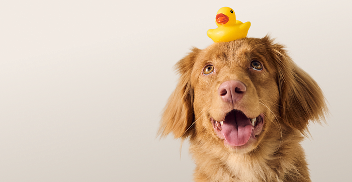 Предложение12. Версия планшета