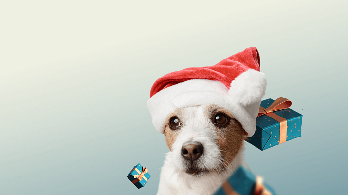 Предложение-0