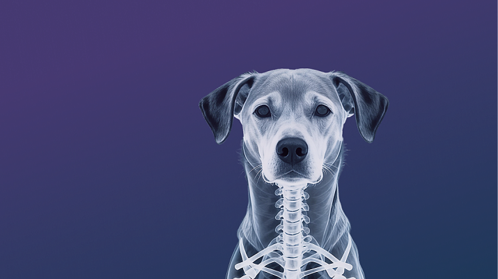 Предложение-4