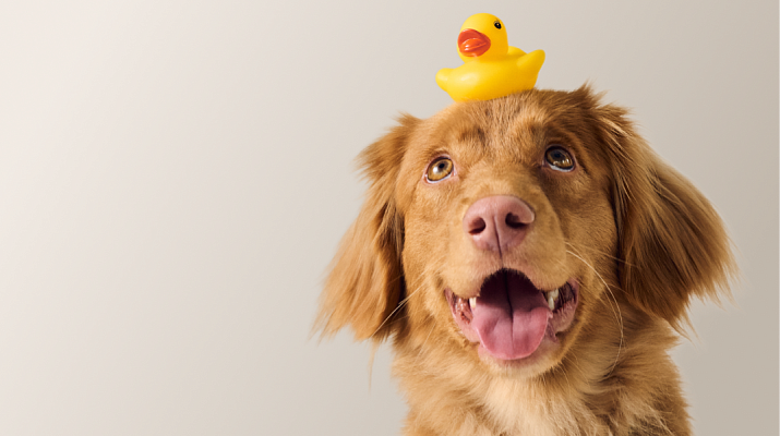 Предложение-12